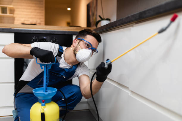 Best Bed Bug Extermination  in Riverside, UT