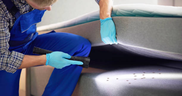 Best Local Pest Control Services  in Riverside, UT