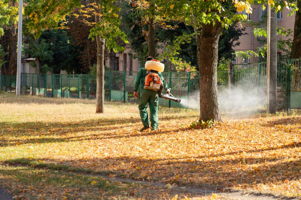Best Commercial Pest Control Services  in Riverside, UT