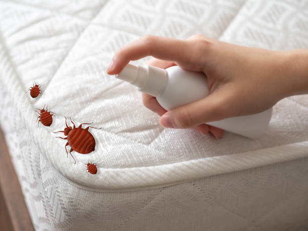 Best Mosquito Control Services  in Riverside, UT