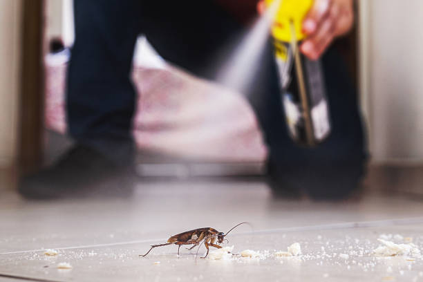 Best Exterminator Services  in Riverside, UT