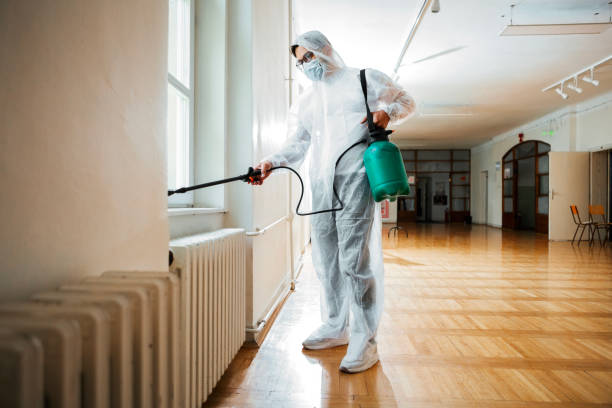 Best Termite Control Services  in Riverside, UT