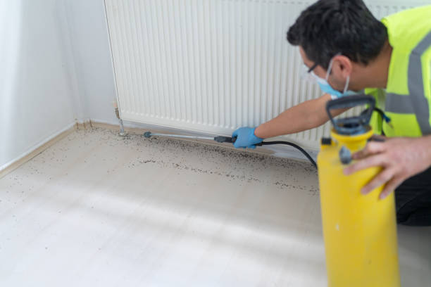 Best Pest Control for Restaurants  in Riverside, UT