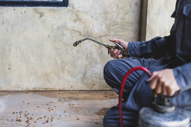 Pest Control for Restaurants in Riverside, UT