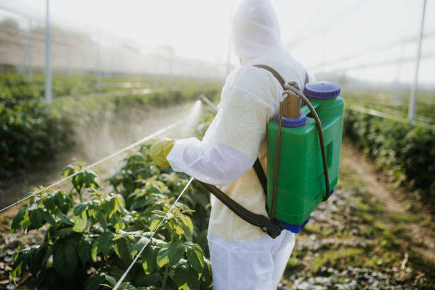 Pest Prevention Services in Riverside, UT